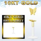 GIBIBT2