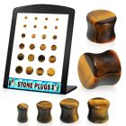 brpg142 board w 24 pcs of double flared tiger eye plugs