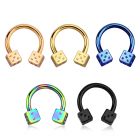 cbtdi anodized 316l steel circular barbell w 4mm dice