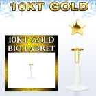 GIBIST