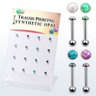 dacb223 display w steel tragus barbells w with a synthetic top