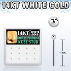 dwys5 caja 12 piercing nariz doblar tu mismo oro blanco 14 kts 0 6mm bola lisa oro blanco 1 5mm al por mayor