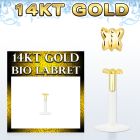 GBIBT