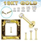 gglbz 18k gold threadless push pin labret 16g cz