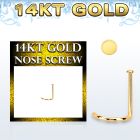 GSRD1