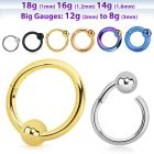 hbcrb pvd plated steel hinged ball closure ring 18g