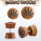 IPLSWB