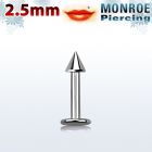 LBMCN25
