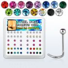nscb25xm box of 316l steel nose screws w 2 5mm bezel crystal tops