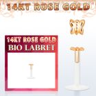 RBIBT
