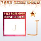 RSST