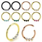 seght16e anodized steel hinged segment ring 16g w small crystals