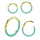 sgsh11tqt pvd steel hinged segment ring 16g cnc turquoise