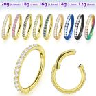 sgtsh10 anodized 316l steel hinged segment ring cz stones