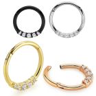 sgtsh28 pvd plated steel hinged segment ring cnc cz side