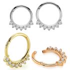 sgtsh29 pvd plated steel hinged segment ring facing cnc cz