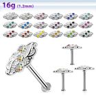 tlb40 steel tragus labret w a leaved shaped upper part