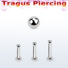 tlbb2 316l steel tragus labret 16g w a 2mm ball 
