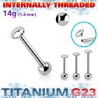 ubbinag5 titanium g23 barbell 14g flat dome ball internal
