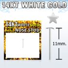 WYSST1