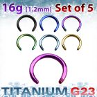 xutcb16 set of 5mm anodized titanium g23 circular barbell post