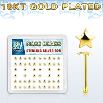 18bxvsar box w gold plated silver nose bones w star top
