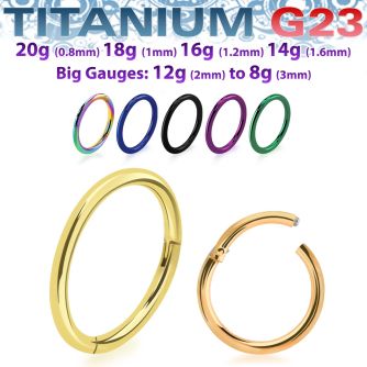 anodized titanium g23 hinged segment ring 