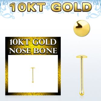 gibrd 10kt gold nose bone with a 2mm plain gold round top