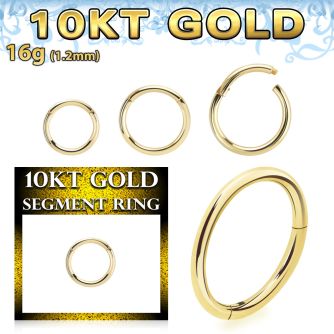 gisegh16 10k gold hinged segment ring 16g