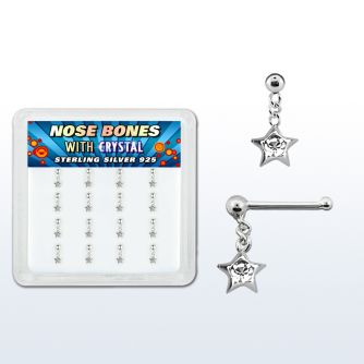 nbds16c box w silver nose bones, w a dangling star