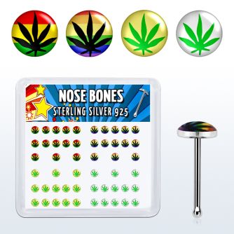nblgx1 caja display piercing nariz hueso plata esterlina 925 0 6mm disenos variados logos marihuana distribuidor mayorista