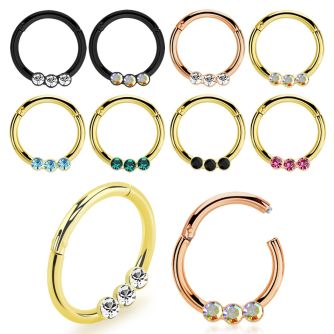 seght16e anodized steel hinged segment ring 16g w small crystals