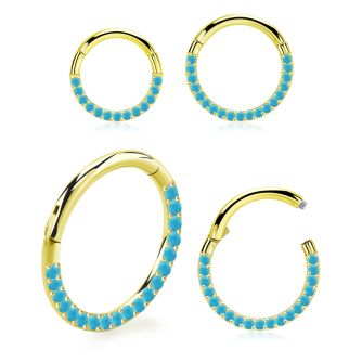 sgsh11tqt pvd steel hinged segment ring 16g cnc turquoise