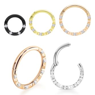 sgsh25 pvd steel hinged segment ring 16g cz diamond pattern