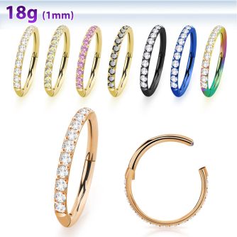 sgtshs10 pvd plated steel hinged segment ring 18g cnc cz