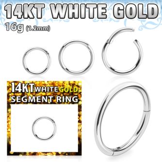 wsegh16 14k white gold hinged segment ring 16g