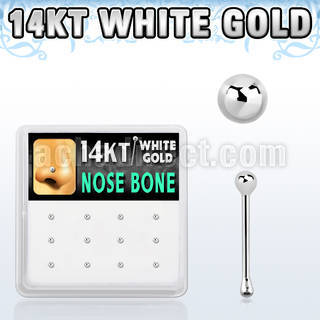 box w 12 white gold nose bones w 1.5mm ball tops
