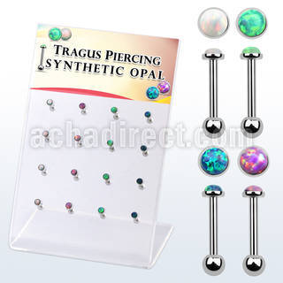 dacb223 display w steel tragus barbells w with a synthetic top