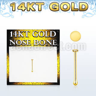 gbrd1 14kt gold nose bone, 22g w small round flat top