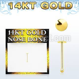 gbrd 14kt gold nose bone with a 2mm plain gold round top