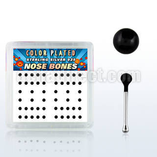 nbkbbx2 box w silver nose bones, w 2mm black plated ball tops