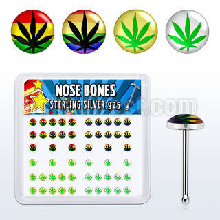 nblgx1 box of silver nose bones with assorted marijuana logo