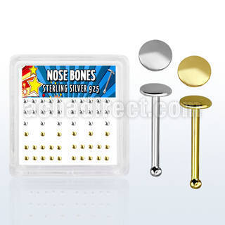 nbmx4 box w 52 pcs of silver nose bones w 2mm flat round tops