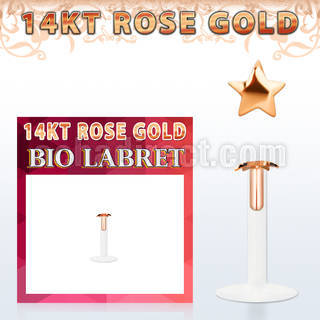 rbist bio flex labret w 14kt rose gold top w a 2.5mm star top