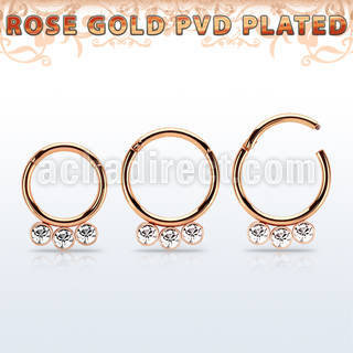 seghr16f rose gold steel hinged segment ring 16g  w crystals