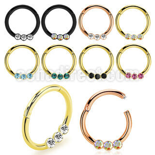 seght16e anodized steel hinged segment ring 16g w small crystals