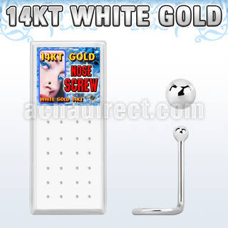 wgscb box of 14kt white gold nose screws w white gold balls