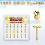18bvpa36 box w silver nose bone 18k gold plating pineapple top