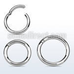 316l urgical steel hinged segment ring, 12g 2mm