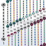 bbtrfr5c pvd 316l steel industrial barbell w 5mm ferido balls
